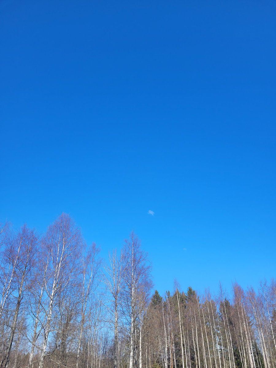 ☮ elin ✿ tweet media