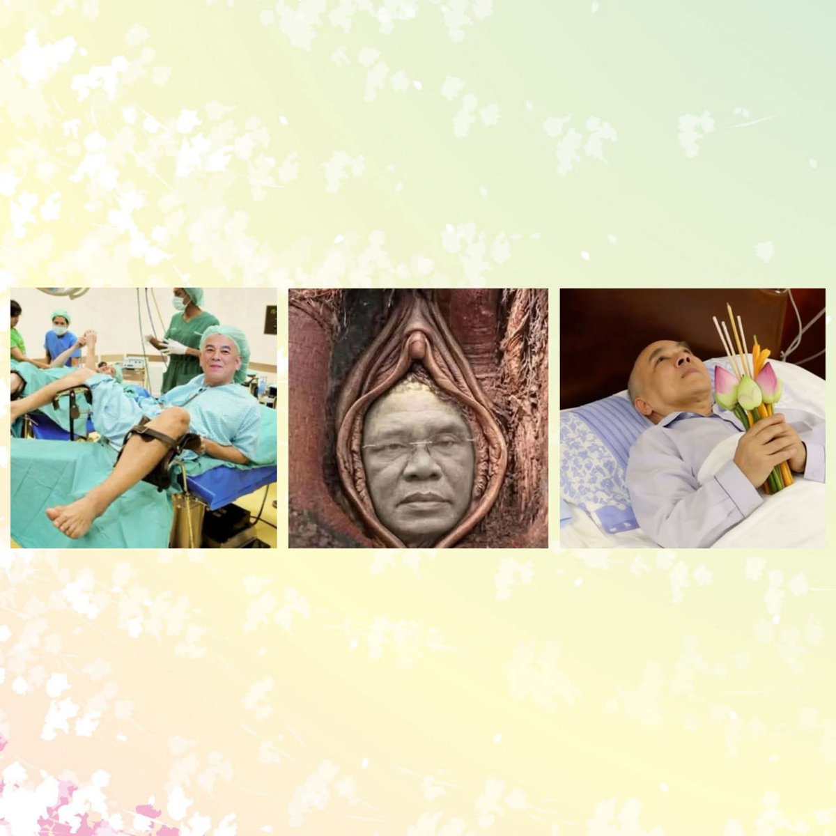 😙🅂🅄🄿🄴🅁🄲🄰🄶🄽🄾🅃🅃🄴🌿 tweet media