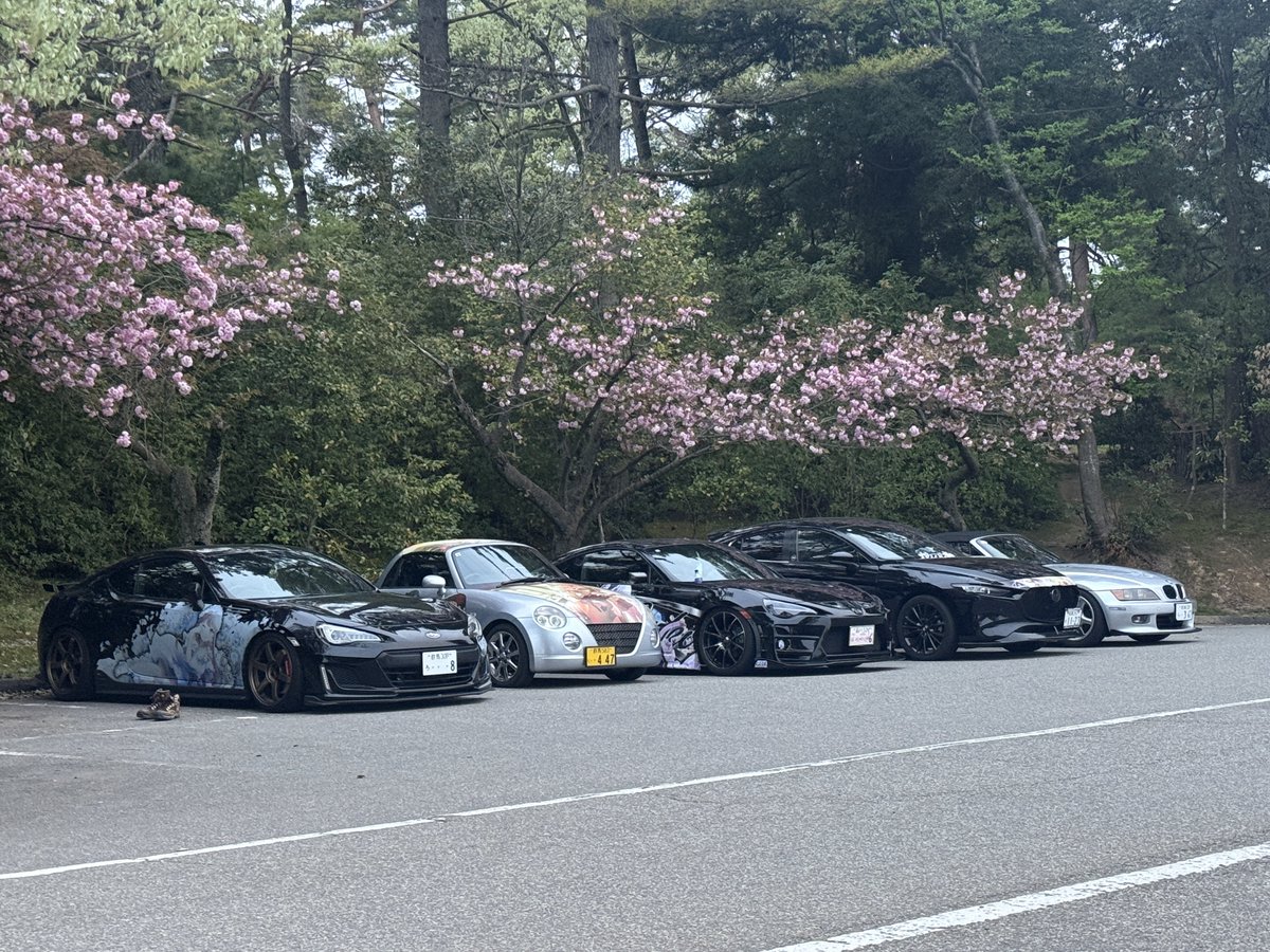 つきのわ桜 tweet media