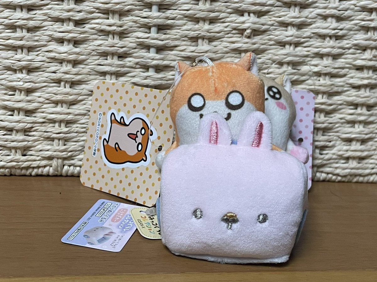 かー🐹🍖@すごくハム tweet media