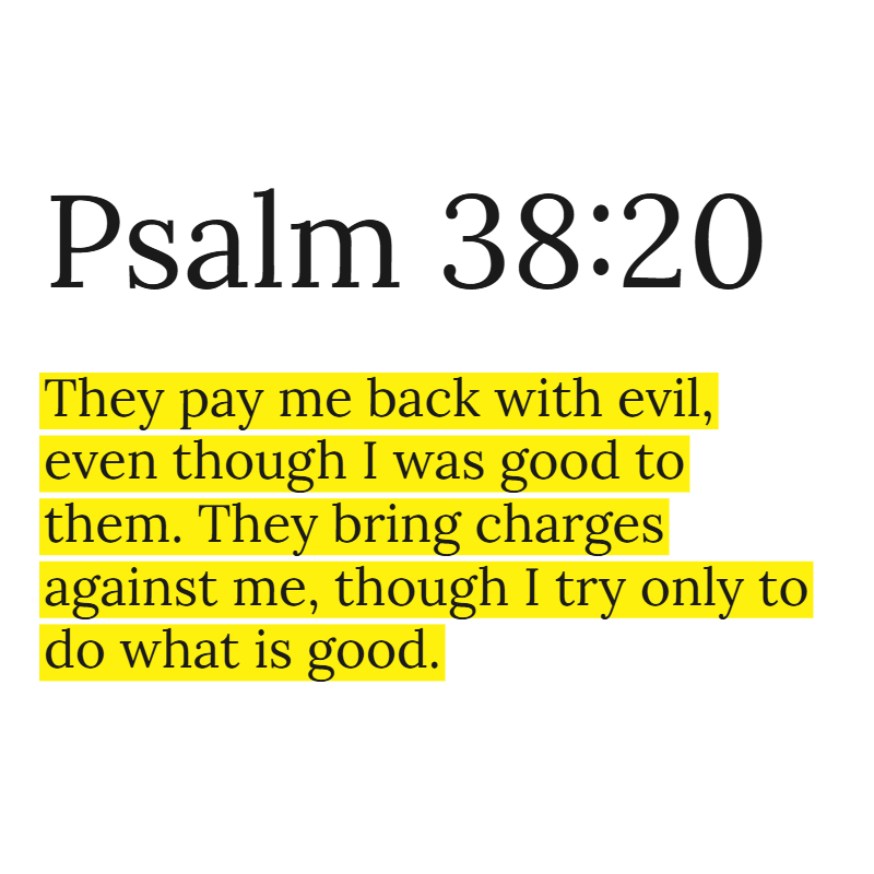 Holy Bible tweet media