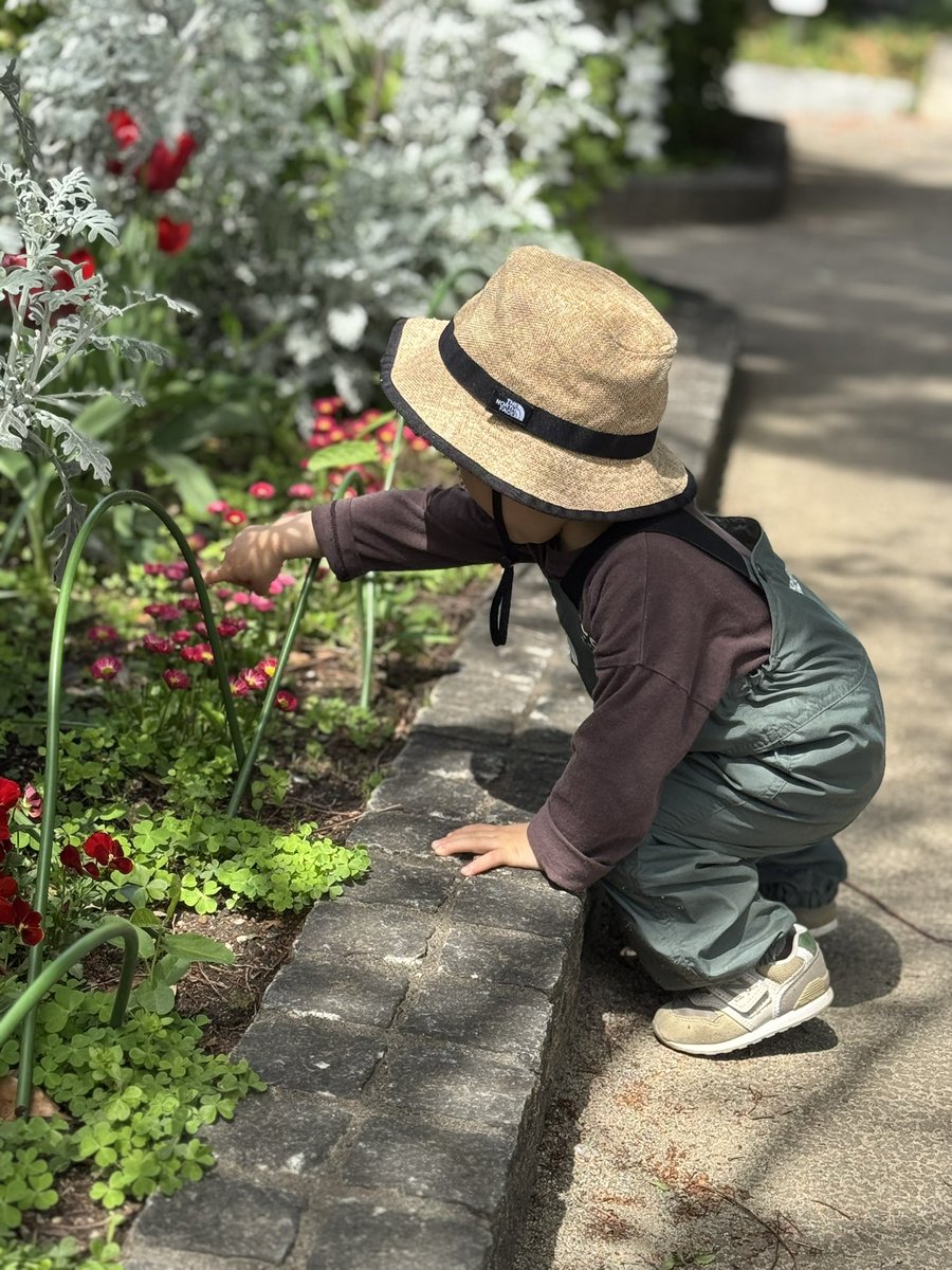 ぽてち🌸 tweet media