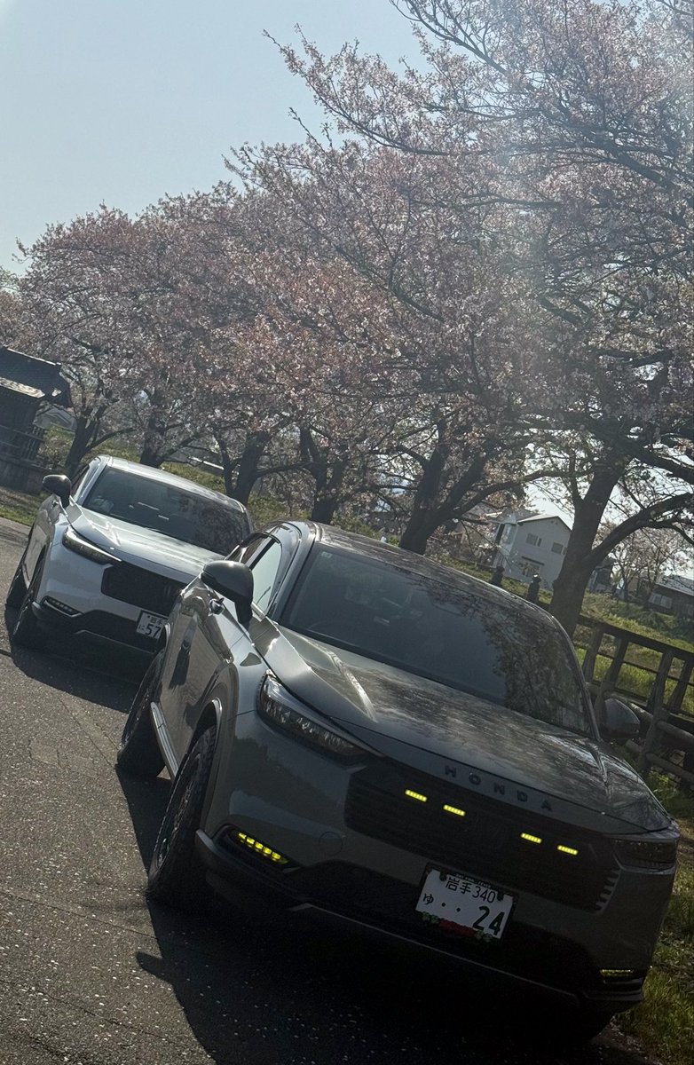 2ku_ma2's tweet photo. オフ会場所の下見と桜写(車)活の１日！
安定の後輩と https://t.co/H1k2EvdeKm