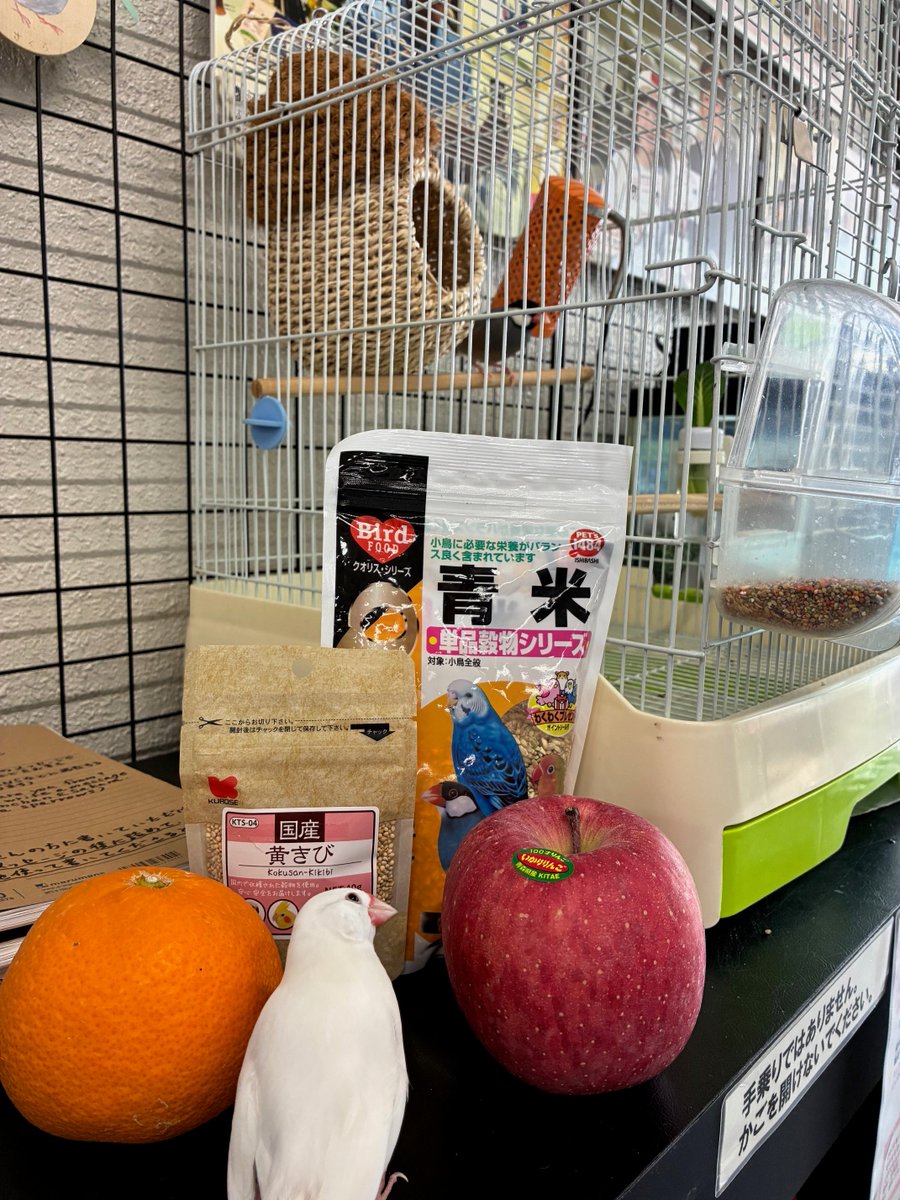 ぶんちゃんのふれあいを楽しみにお越しいただいた方には申し訳