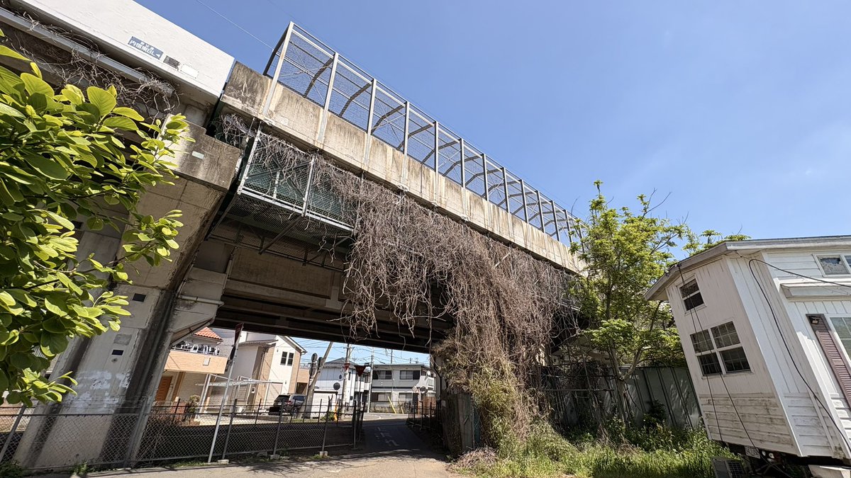 とぉりん.wav tweet media