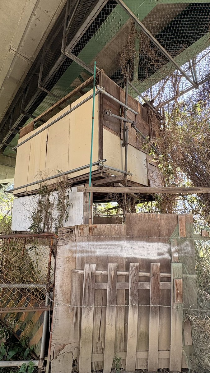 とぉりん.wav tweet media