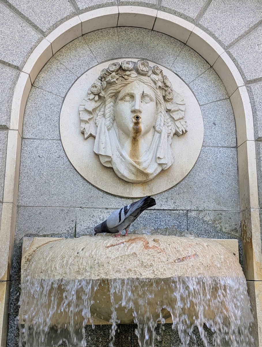 Rosa Mariño tweet media