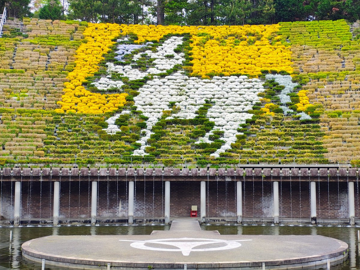 ざんざるぶ tweet media