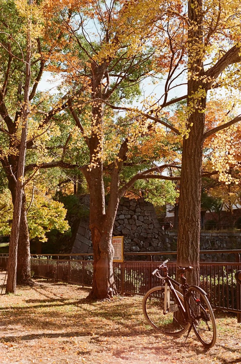 photoyoshioka's tweet image. #ASTRUM・SVEMA Color 100-135-36枚撮り photoyoshioka.shop-pro.jp/?pid=189200617

ASTRUM社は、旧ソ連時代のフィルムメーカーSVEMA社の流れを汲む現行メーカーです。
温かみのあるピンクの色合いと顕著な飽和した赤にわずかに偏り、ほぼバランスのとれた色を持っています。
#スベマ
#new
#カラーネガフィルム