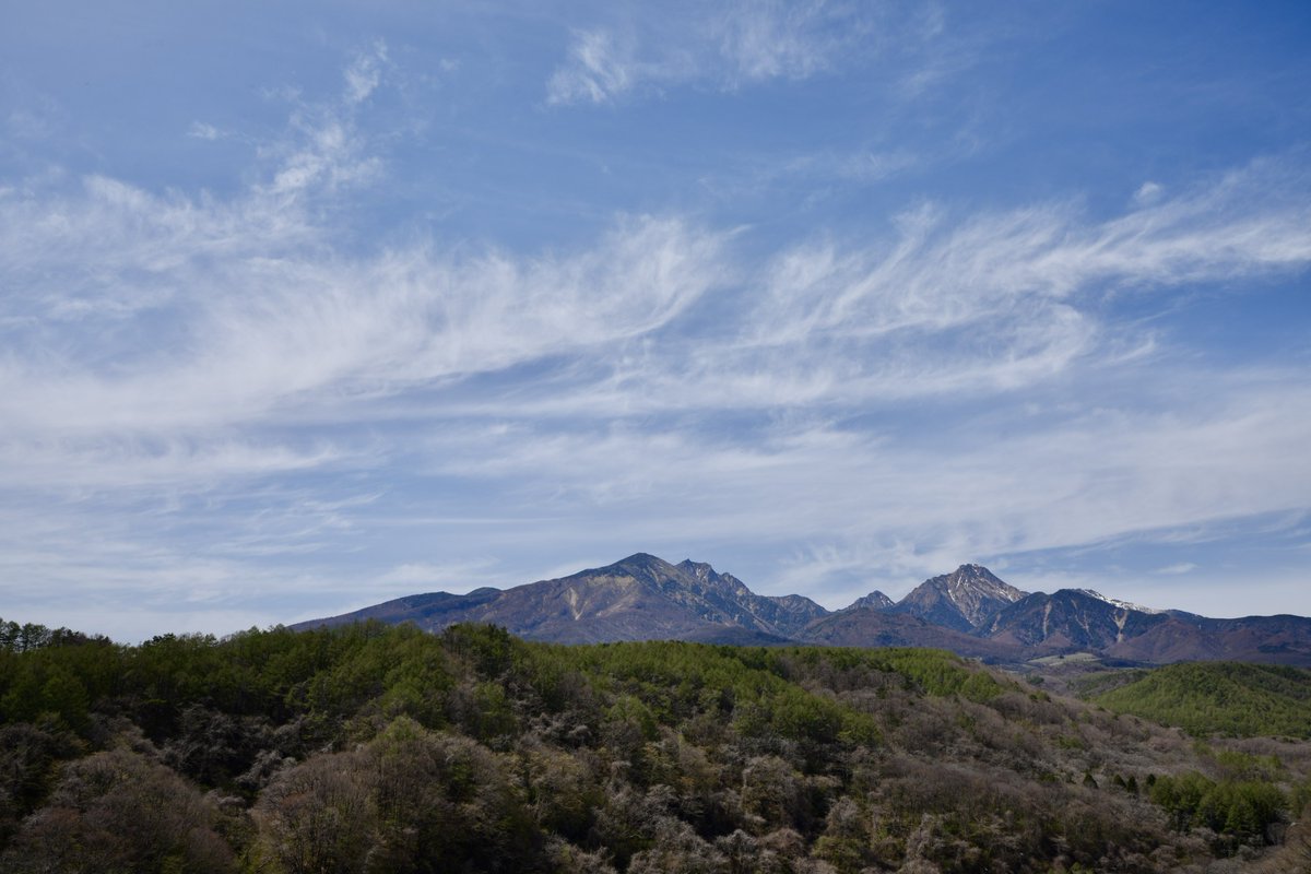 💁‍♀️🎣 tweet media