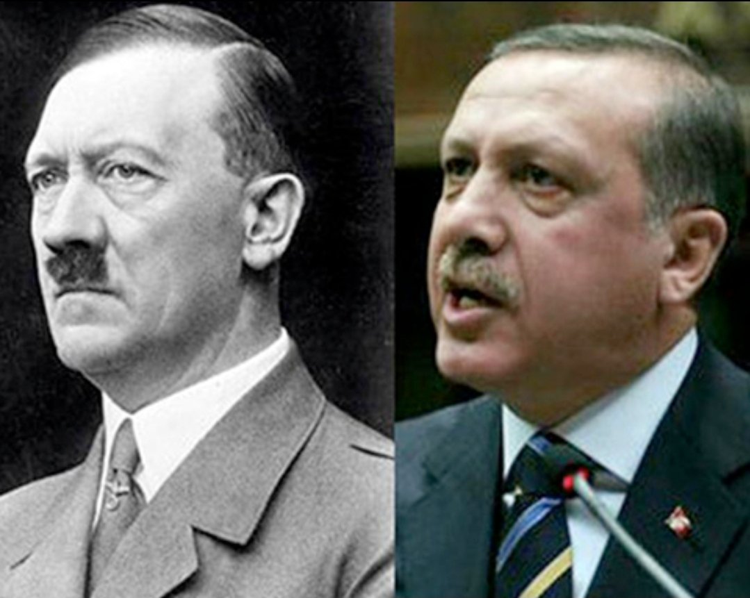 Michelangelo2's tweet image. #Israel is not the only who has issues with the #dictator of 🦃
All of the free thinking people do.