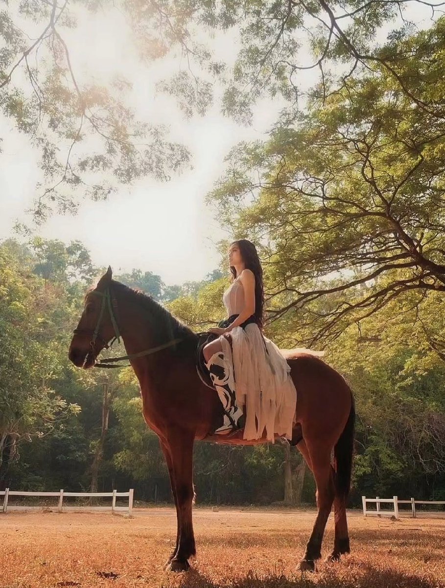 Anna_bhootch tweet media