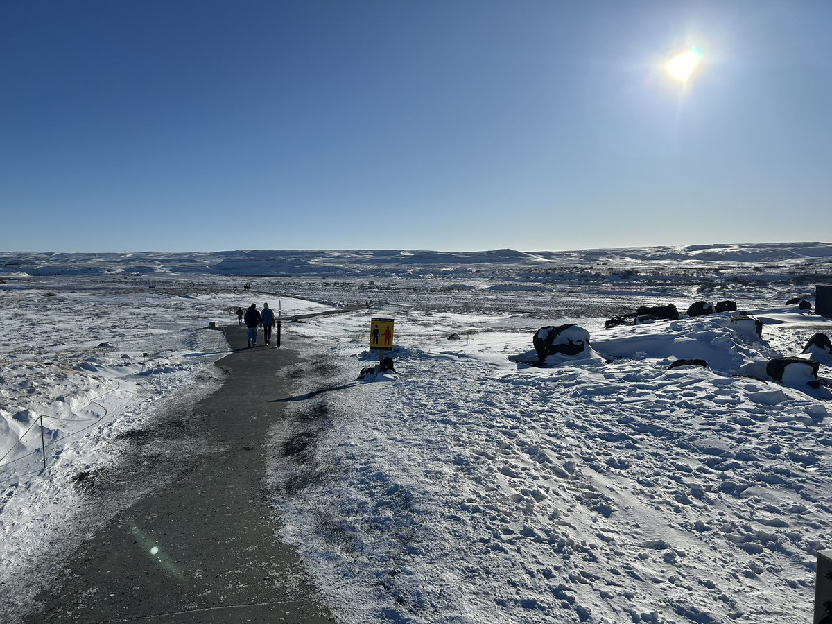 ましゅ(26日に削除予定) tweet media