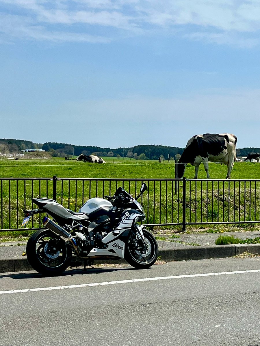 HAWAIIAN_HUSKY's tweet image. 無事カエル🐸🐮

良いお天気の中で朝霧ツーリングを堪能☺️✨

また明日から仕事頑張るべ🫡

#ZX4R
#ninja