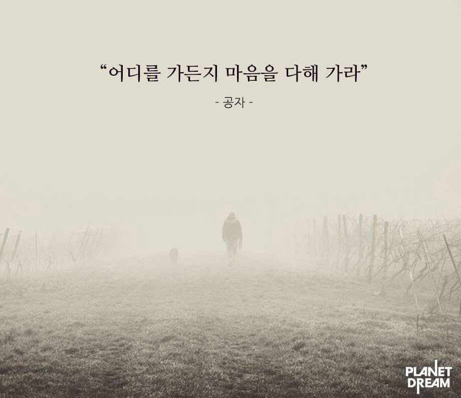 보들보들 tweet media