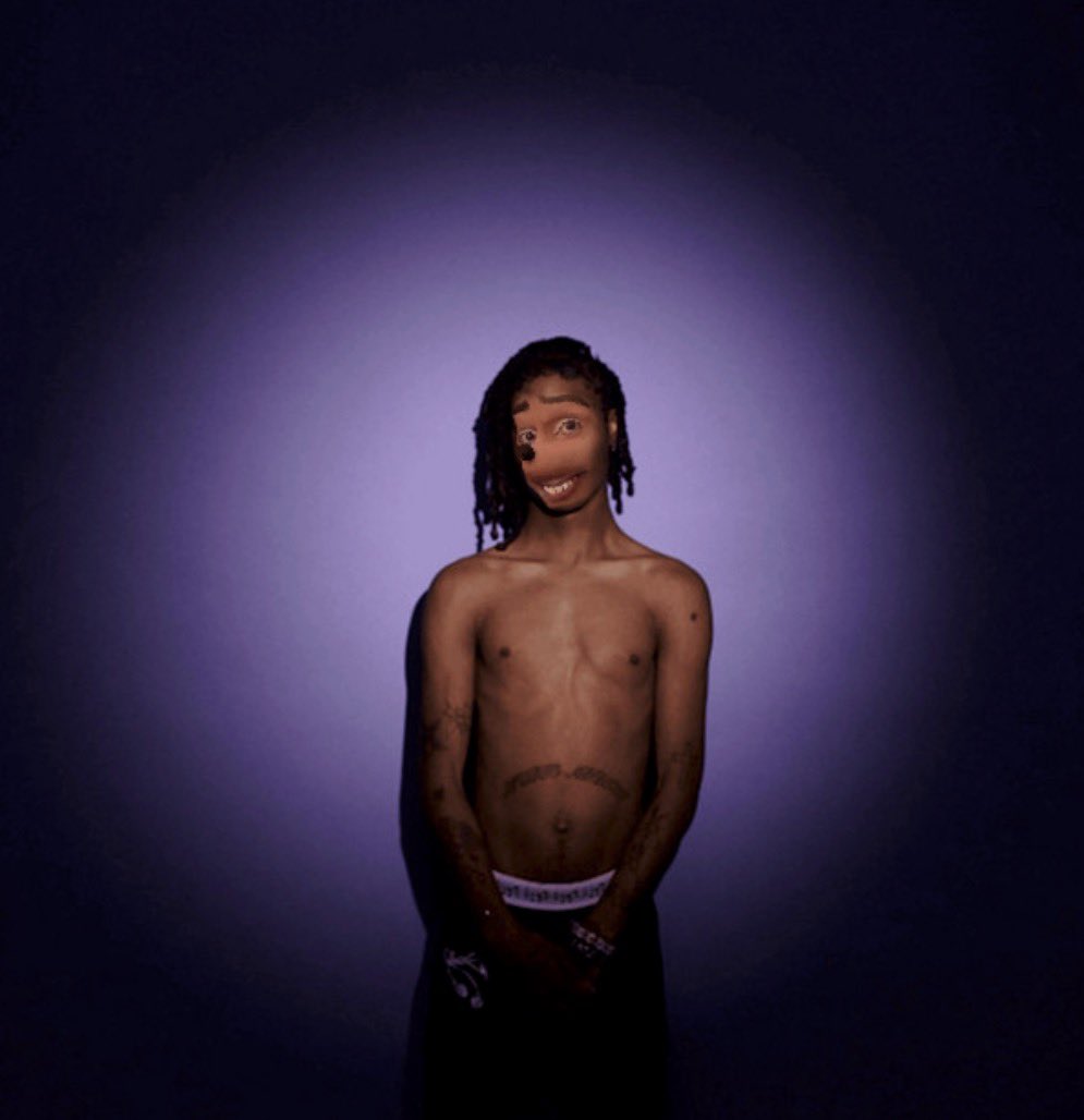 sharkcartel (@sharkcartel) on Twitter photo 