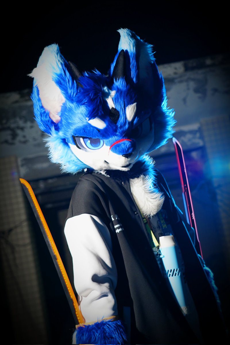 蓝狼挽风 tweet media