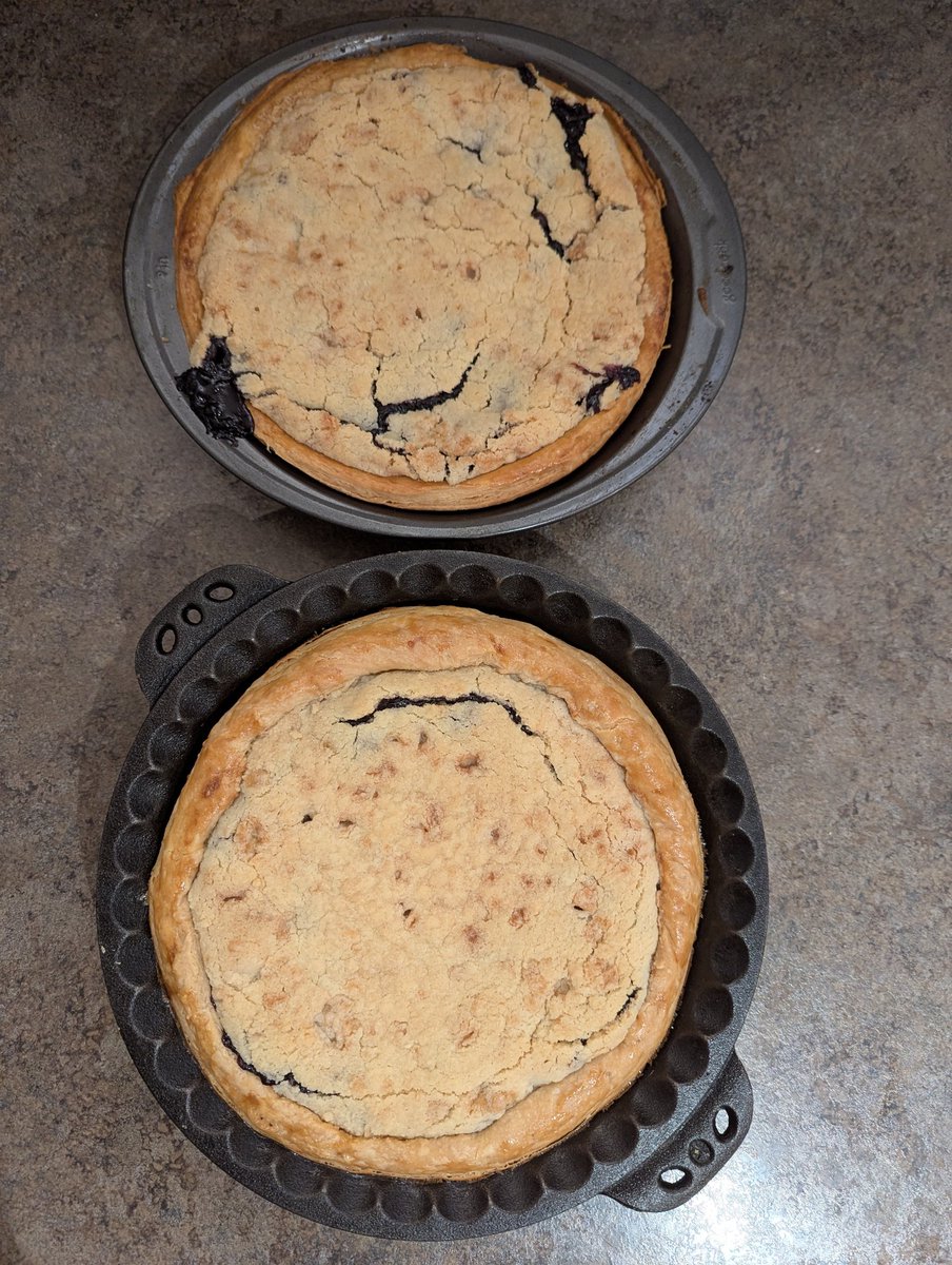 D4n0w4r's tweet image. Blueberry Pies 🥧
#baking