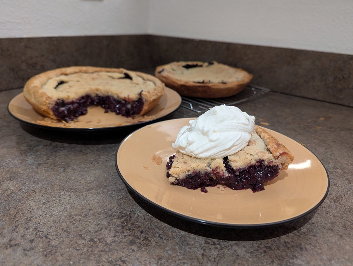 D4n0w4r's tweet image. Blueberry Pies 🥧
#baking