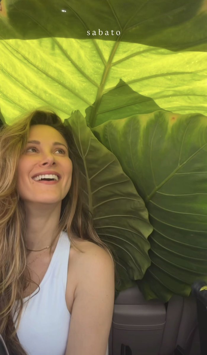 all spampi tweet media