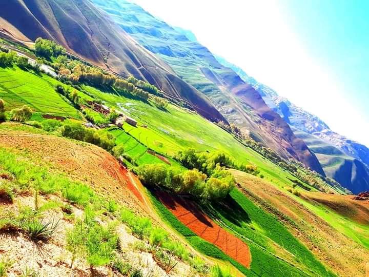 bamyan11's tweet photo. بهار یعنی وقتی زمین دوباره لبخند می‌زند و دل آدم هم مثل شکوفه‌ها تازه می‌شود 🌸 https://t.co/1jF229FSo2