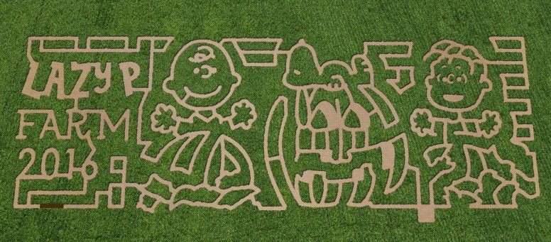 🇯🇵星空音夢🇯🇵🧀Cheese police 👮 tweet media