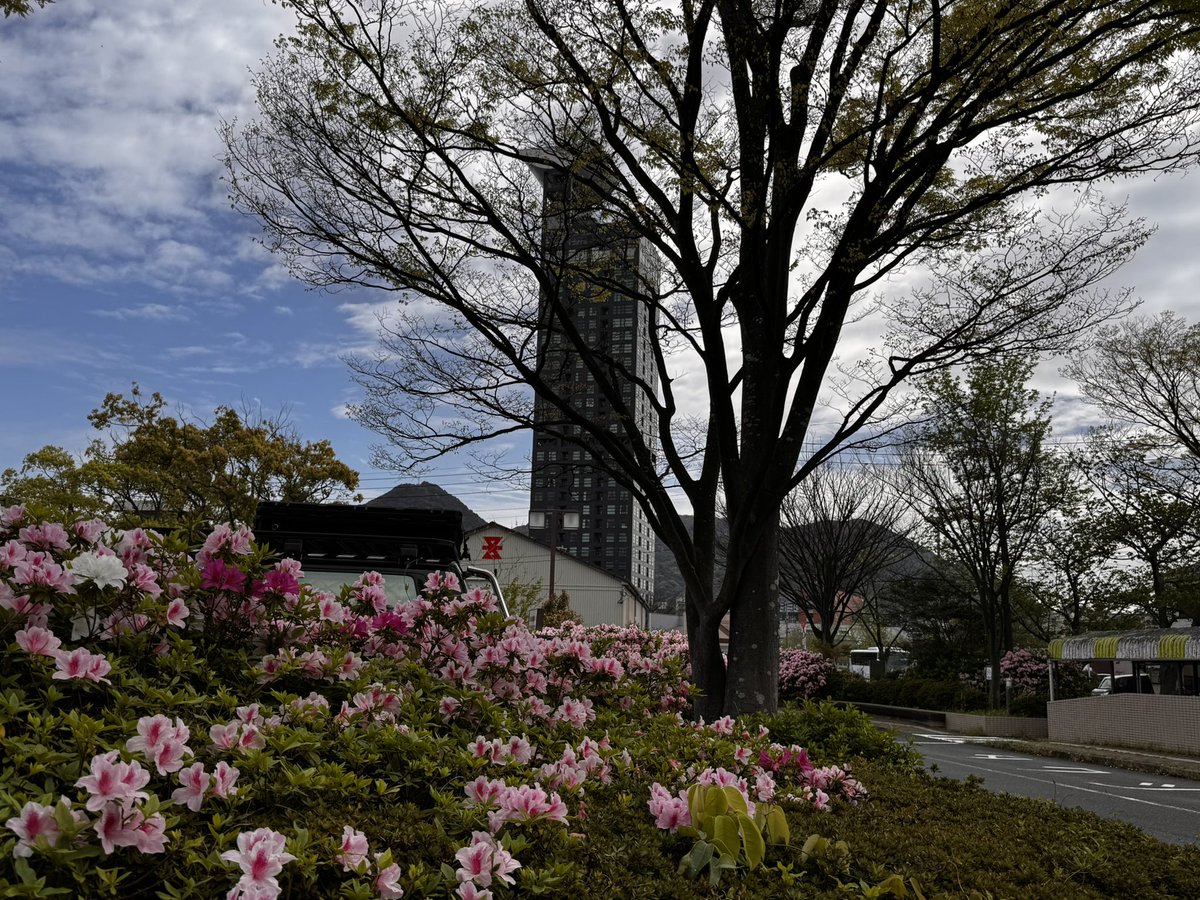 Ж Tomoki Ж(村上智幸) tweet media