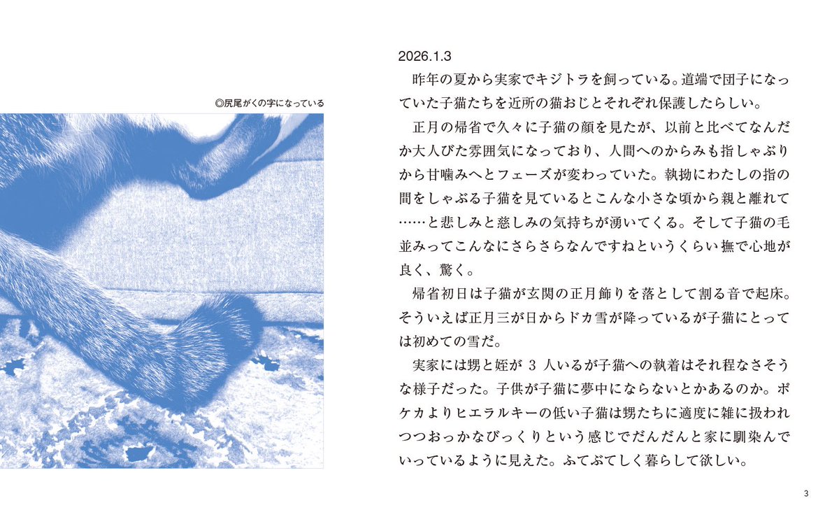 かと tweet media