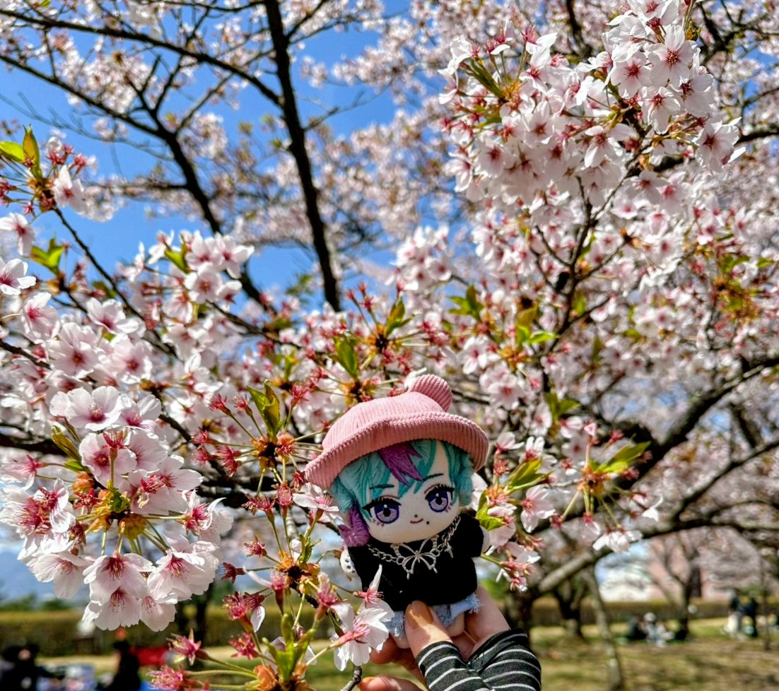 yoshiru tweet media