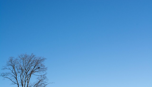 Jim Simone tweet media