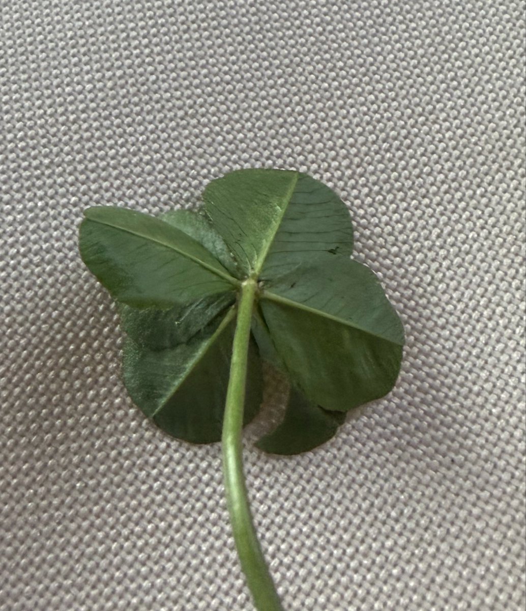 かずしゃん tweet media