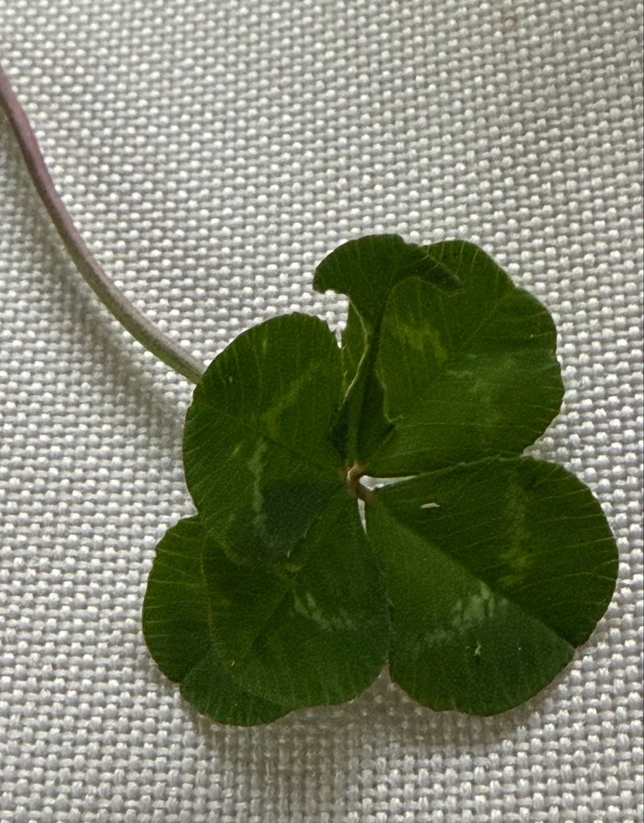 かずしゃん tweet media