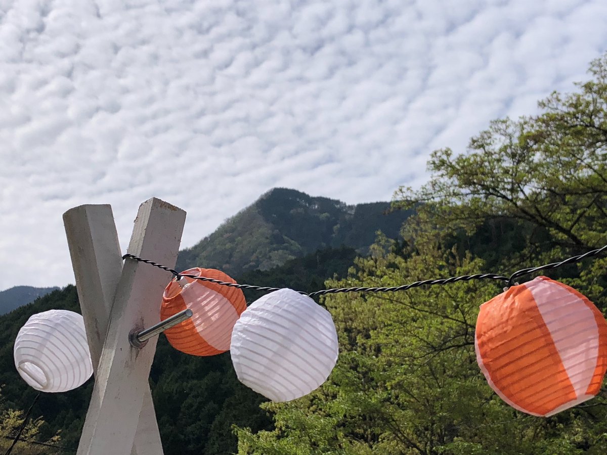 よしちゃんの まーるい暮らしに移行している 超個人的な過程 🐾 の記録 &つぶやき〜(^-^)♪ tweet media