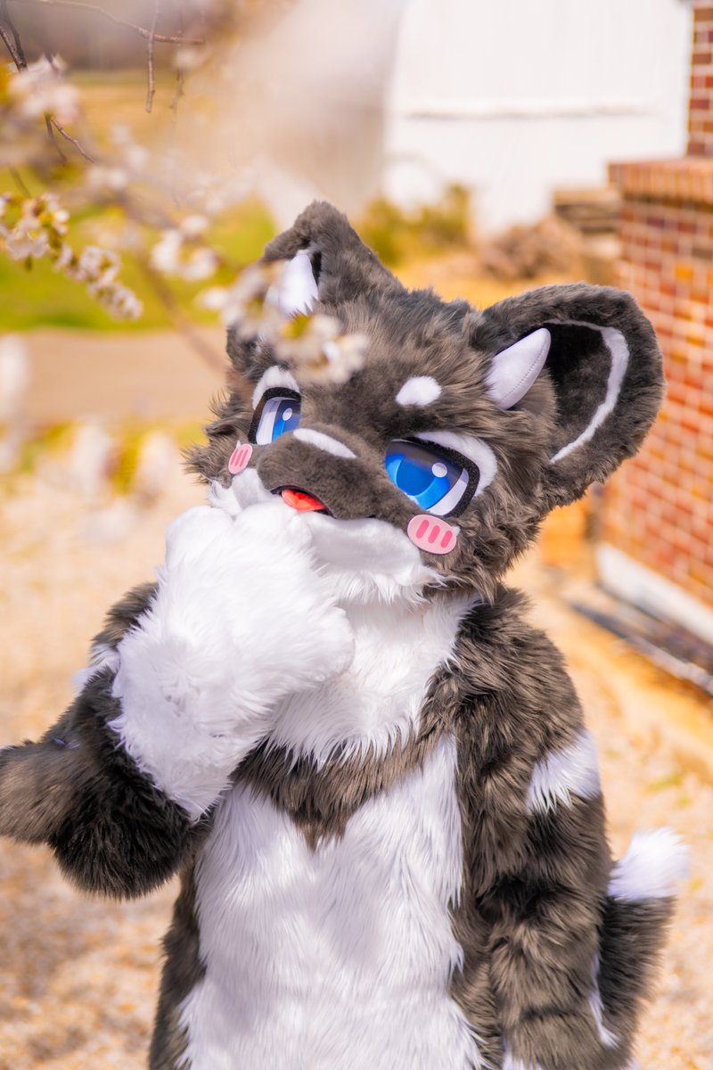 달룩 DALRUK tweet media