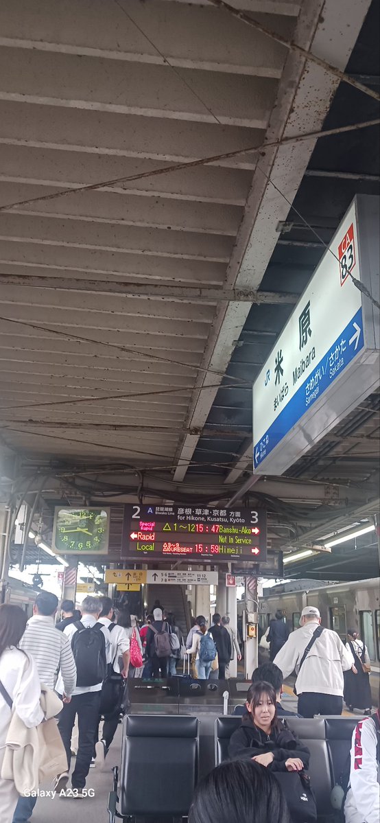 ●照れワイズ tweet media
