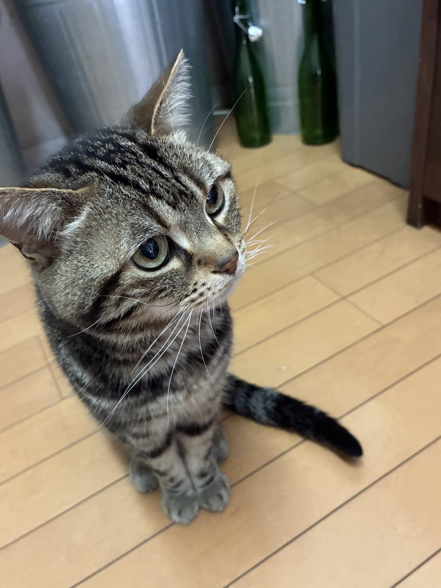 ぐわあああああ、風太可愛すぎるよおおお