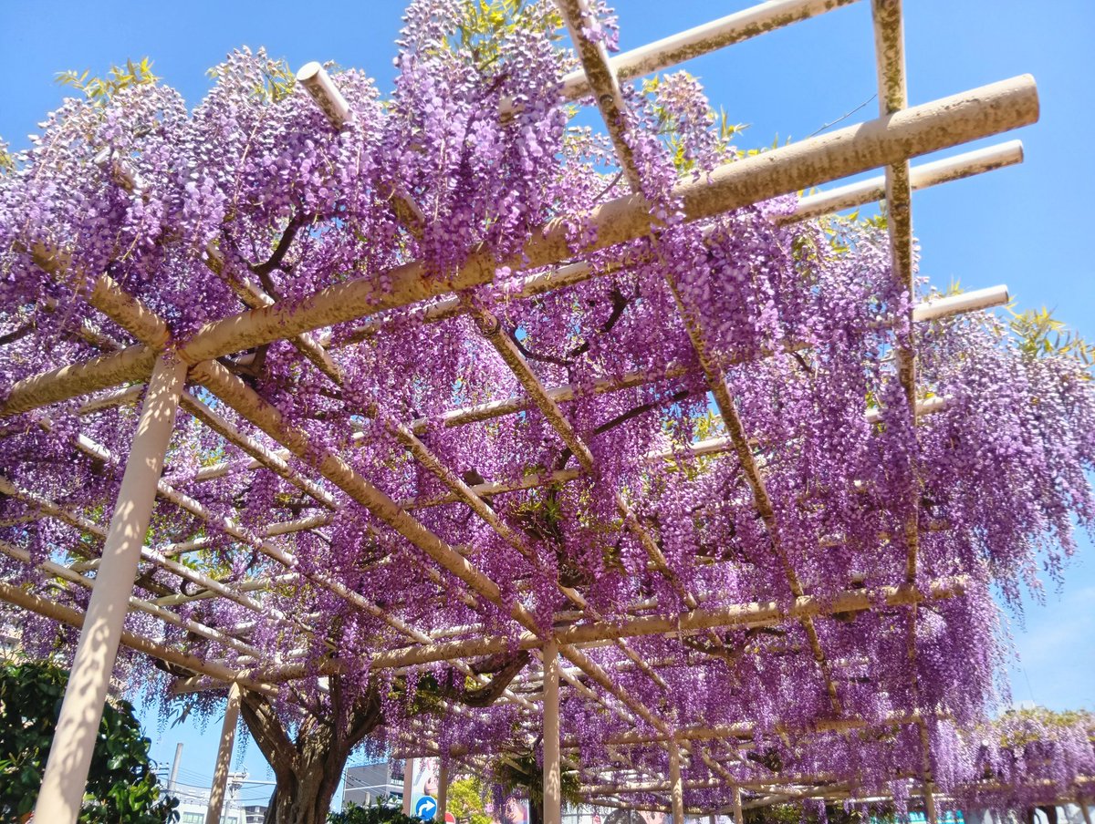 うしこ tweet media