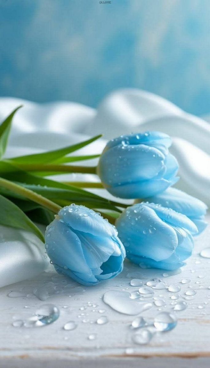سيعطيڪ الله فرحاً بــ حجم مطر السماء   فقط كن ملحاً بــالدعاء ..