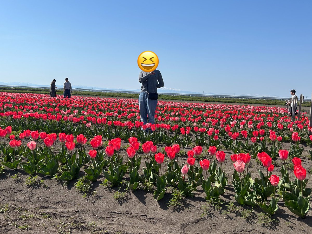 チューリップ畑

心臓を捧げる人