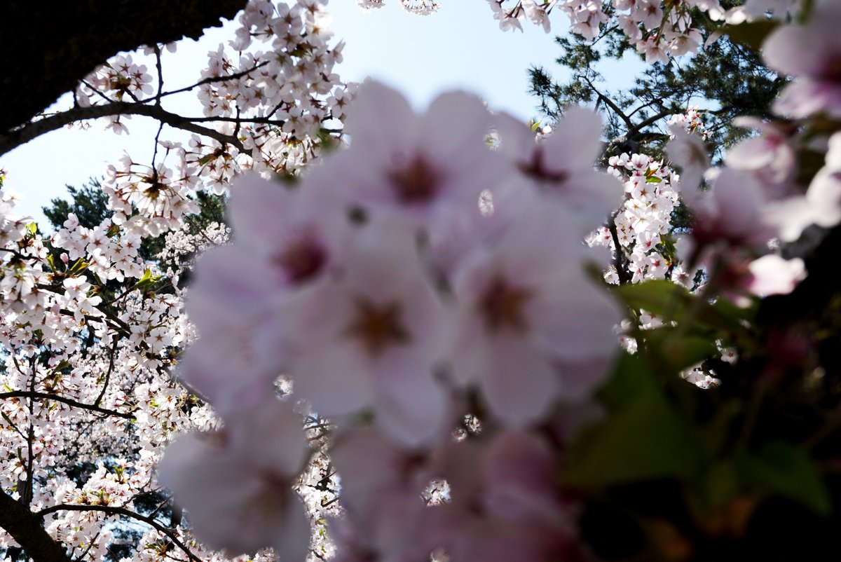 けつつ tweet media