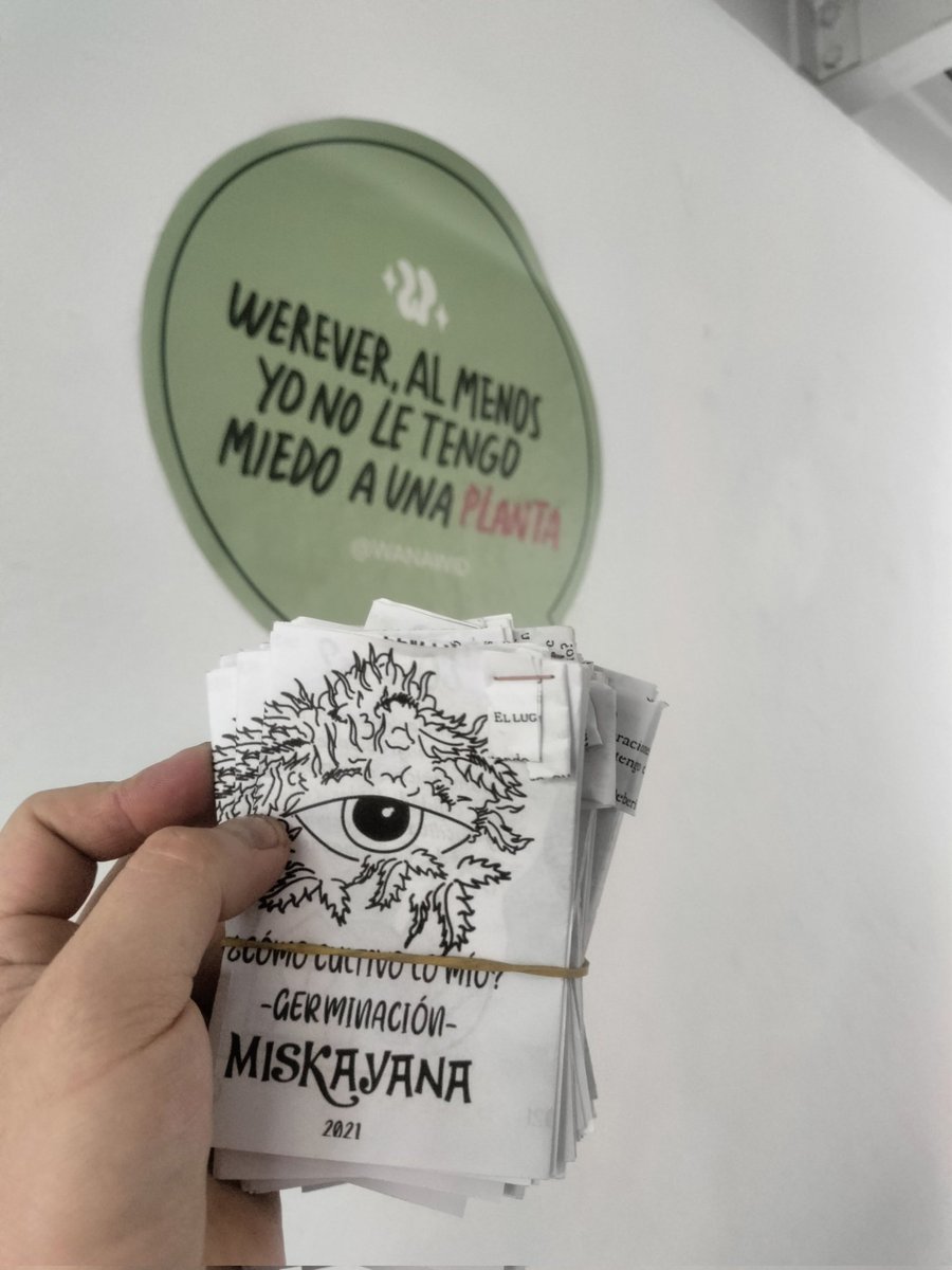 CHIFLADO🤪® tweet media