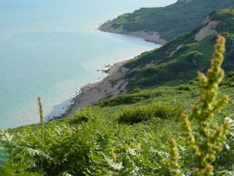 The_Apollo_GH's tweet photo. Sea air, scenic walks, and a place to unwind 🌿

Hastings is perfect for a walking break—but the best stays get booked quickly.

💡 Use code WALKS1066 for 6% off your stay

Start planning your next escape 👇
https://t.co/n6drBBHQy9 https://t.co/pLj5M28WBa