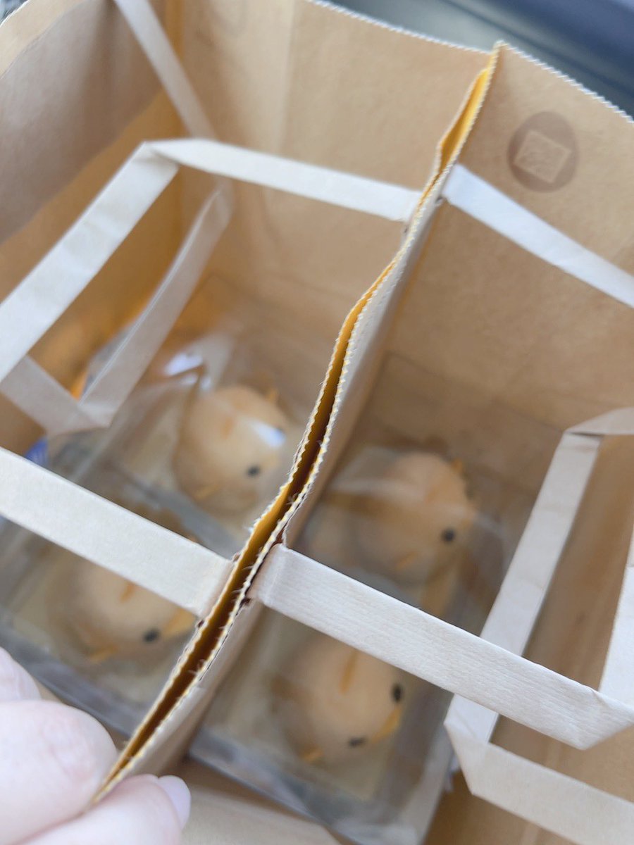 🎃かぼちゃのぱん つ tweet media