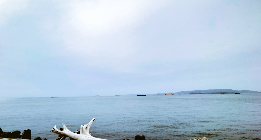 chocoholic.choco💫💫 tweet media