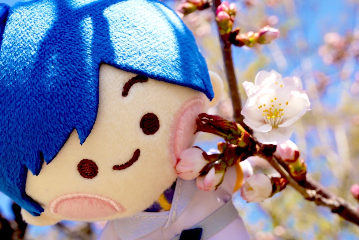 へもん🎲💙 tweet media