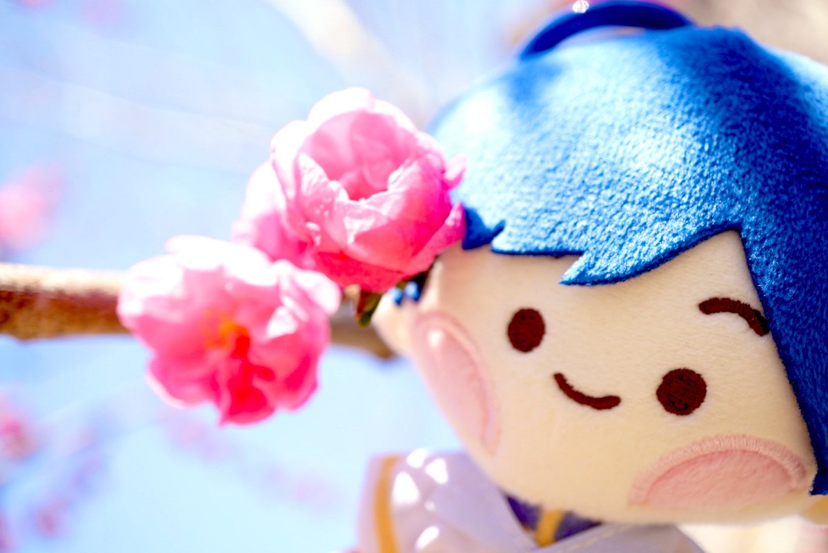 へもん🎲💙 tweet media