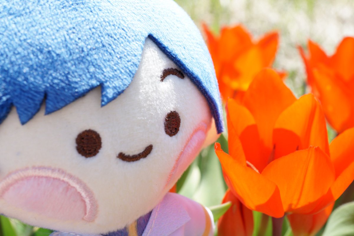 へもん🎲💙 tweet media