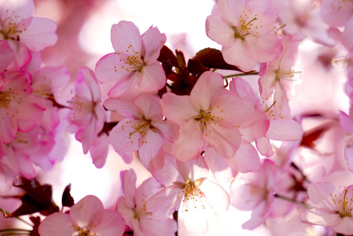 へもん🎲💙 tweet media