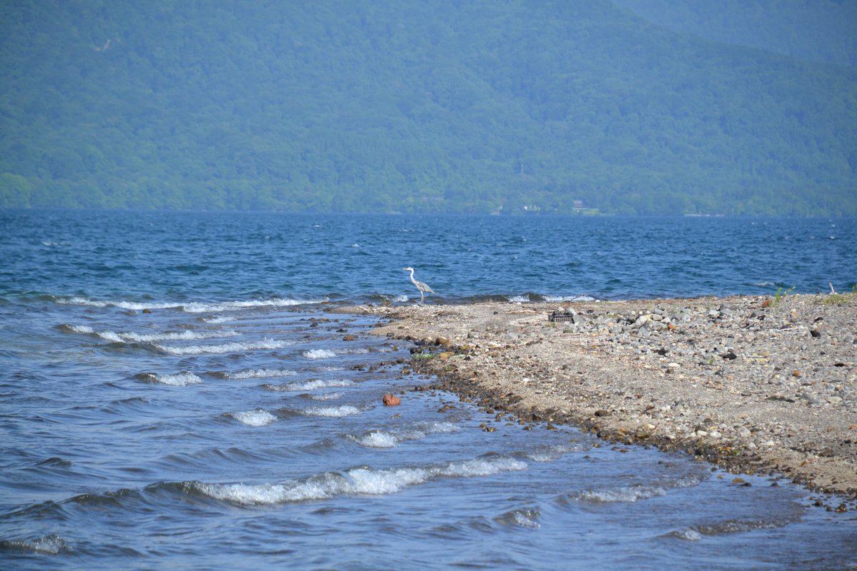 十和田湖駅の食堂とおみやげ屋さん tweet media