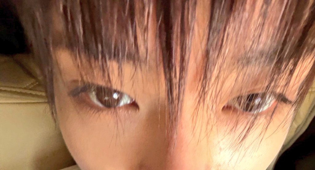 뉼른 아카이브 tweet media